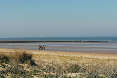 Am-Strand