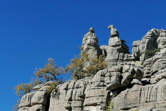 Bizarre-Felsformationen-El-Torcal