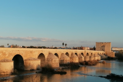 Puente-Romano