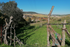 Umland-von-Vejer