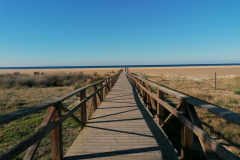 Zum-Strand-von-Tarifa