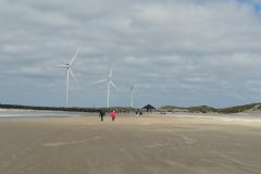 Spaziergang-am-Strand-von-Hvide-Sande