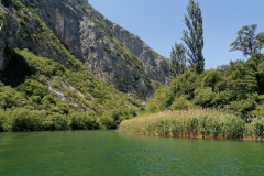 Cetina