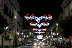 Weihnachtsschmuck-der-Stadt