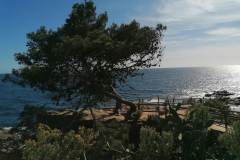 Am-Meer-von-Calella-Parafrugel