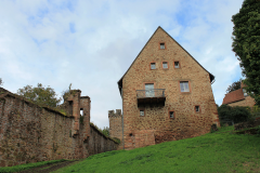 Hirschhorn-Burg