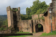 Hirschhorn-Burg