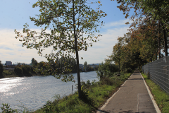 Neckarradweg-bei-Heilbronn