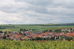 Blick-auf-Weinheim