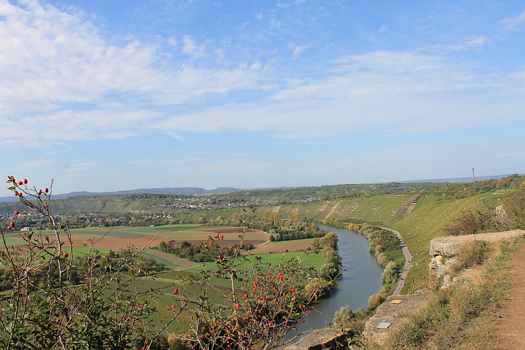 Blick-auf-den-Neckar-von-den-Felsengärten1