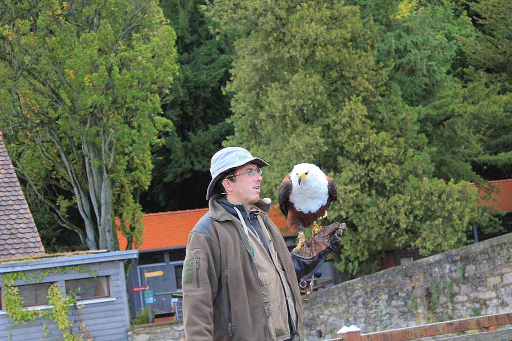 Deutsche-Greifenwarte