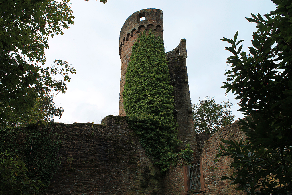 Hirschhorn-Burg