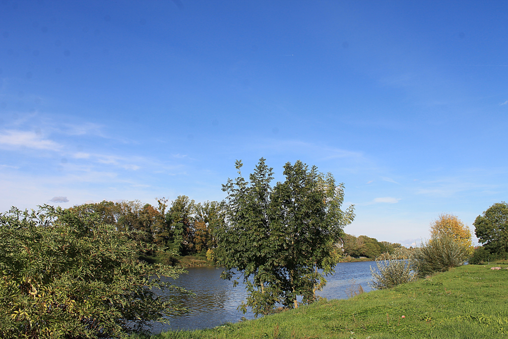 Neckar-bei-Bad-Wimpfen