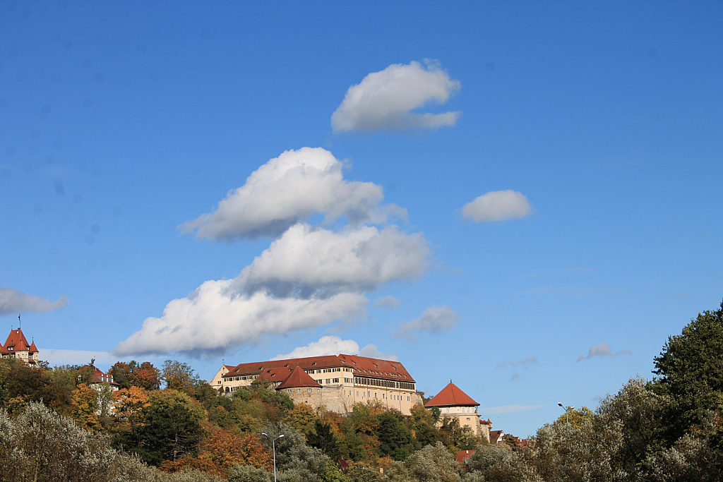 Tübinger-Schloss