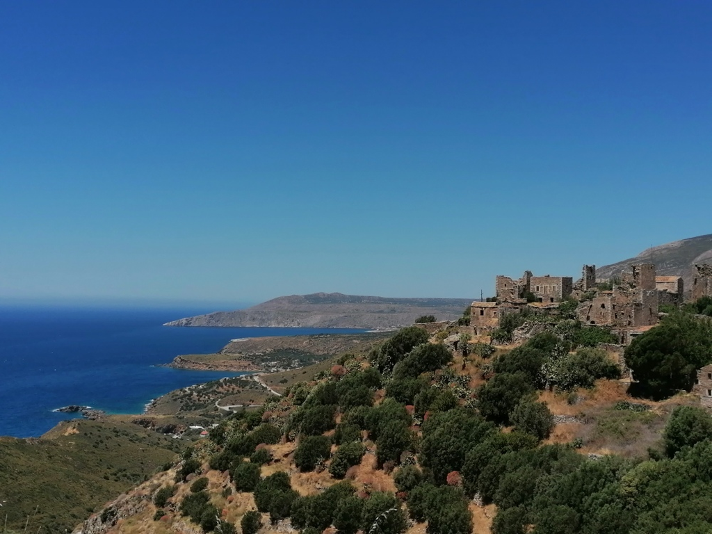 Die-wilde-Mani Die-wilde-Mani