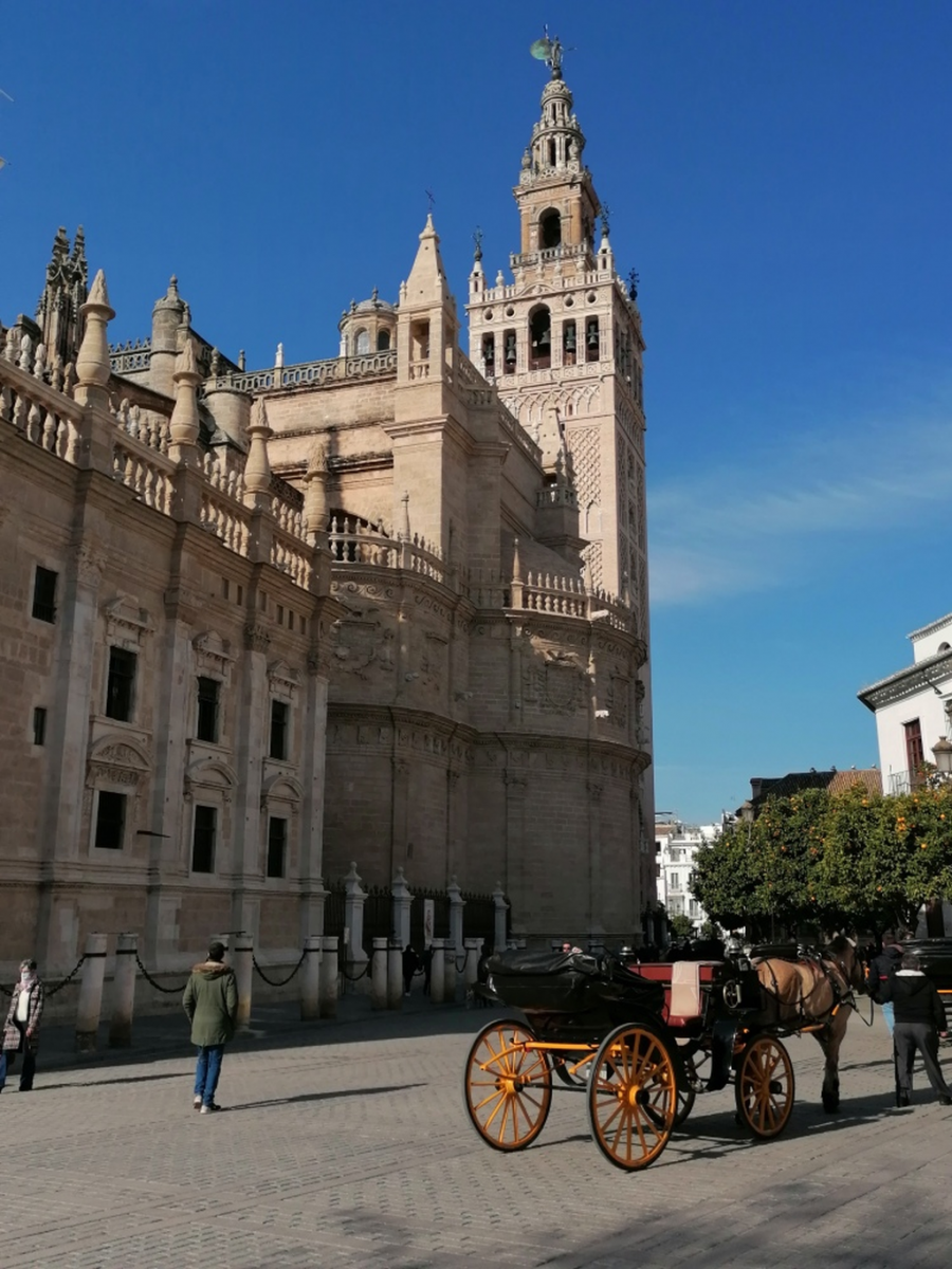 1_Kathedrale 1_Kathedrale