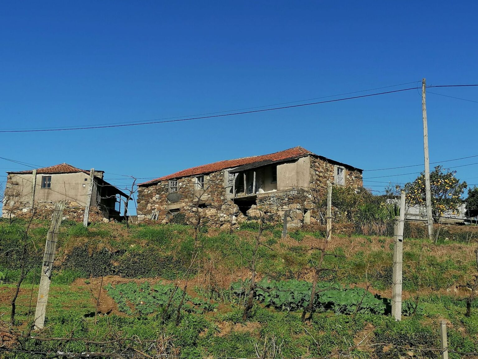 Alte-Steinhaeuser-im-Duoro-Tal