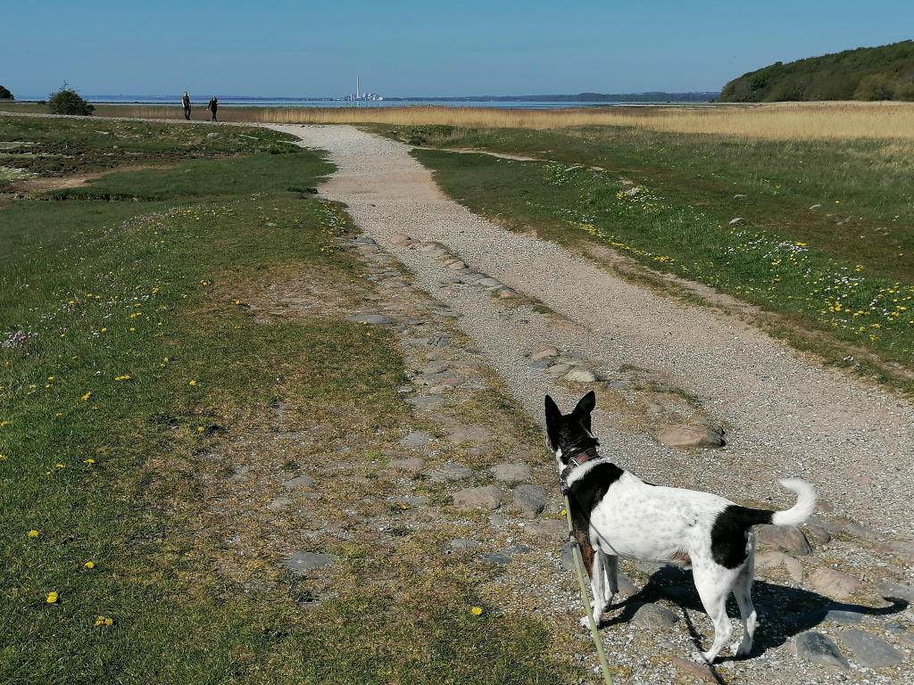 Alter-Damm-zur-Ruine Alter-Damm-zur-Ruine