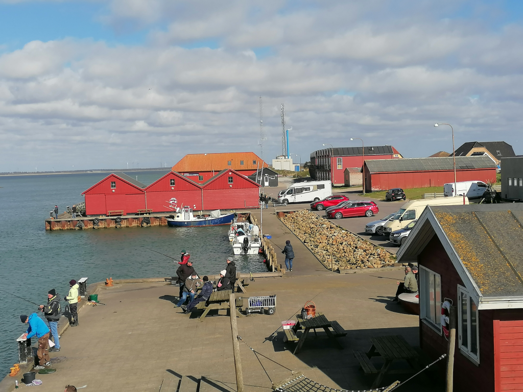 Am-Hafen-von-Thorsminde Am-Hafen-von-Thorsminde