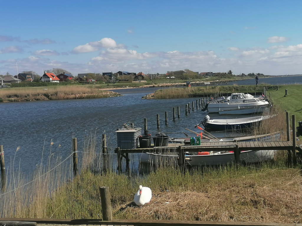 Am-Ringkoping-Fjord Am-Ringkoping-Fjord