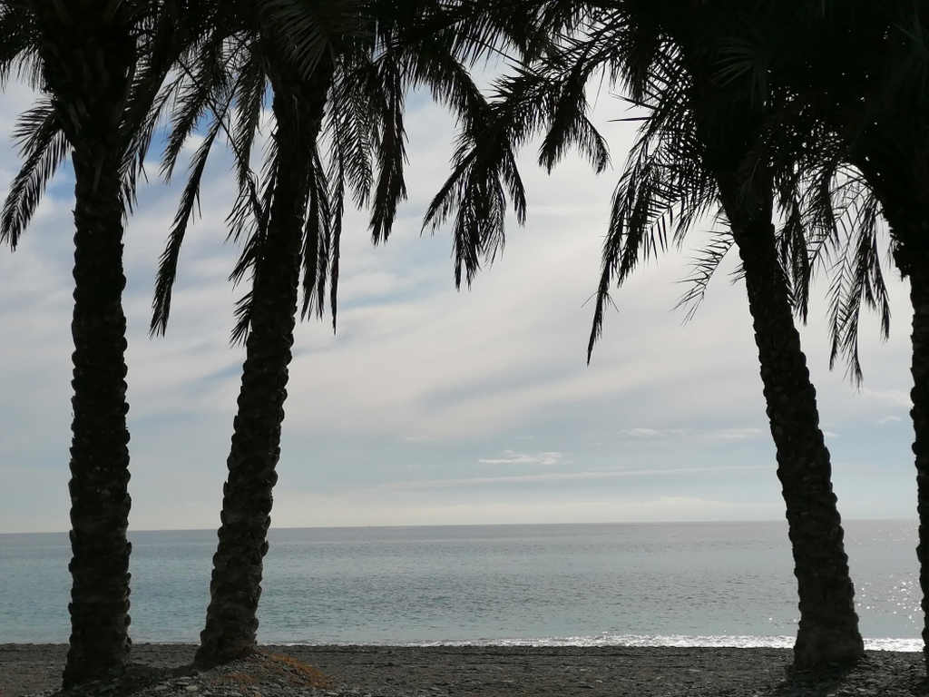 Am-Strand-von-Almunecar Am-Strand-von-Almunecar