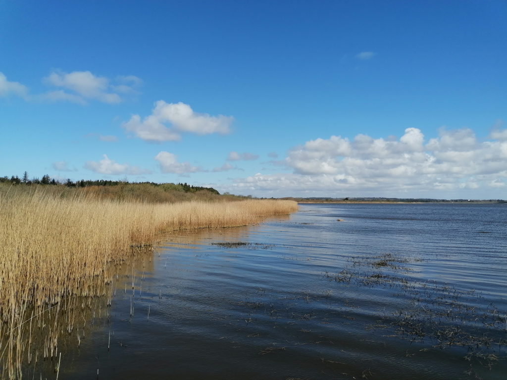 Am-Ufer-vom-See Am-Ufer-vom-See