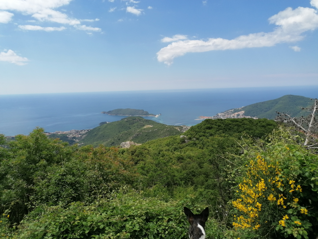 Anfahrt-von-Budvanach Cetinje Anfahrt-von-Budvanach Cetinje