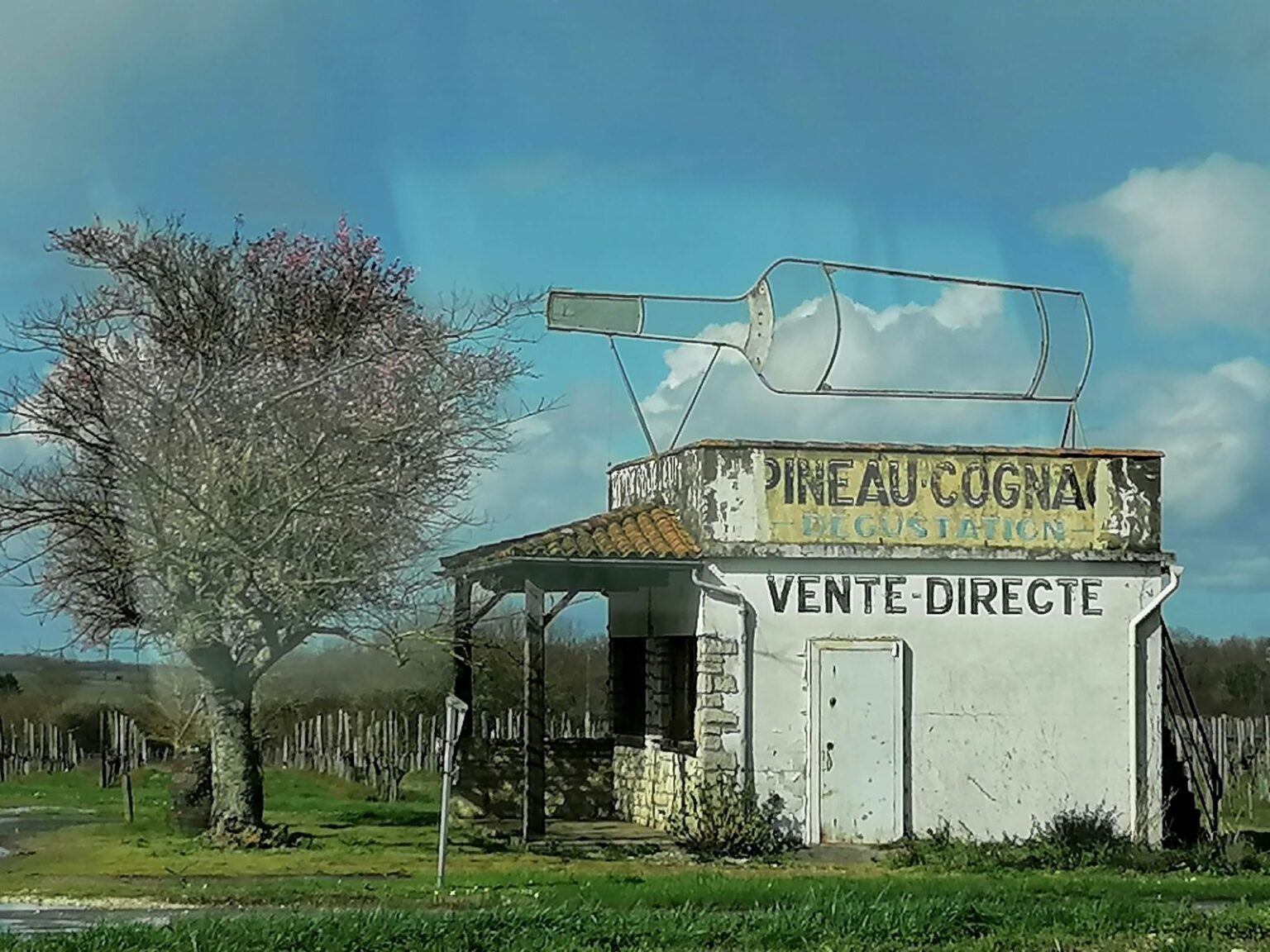 Auf-der-Fahrt-nach-Blaye