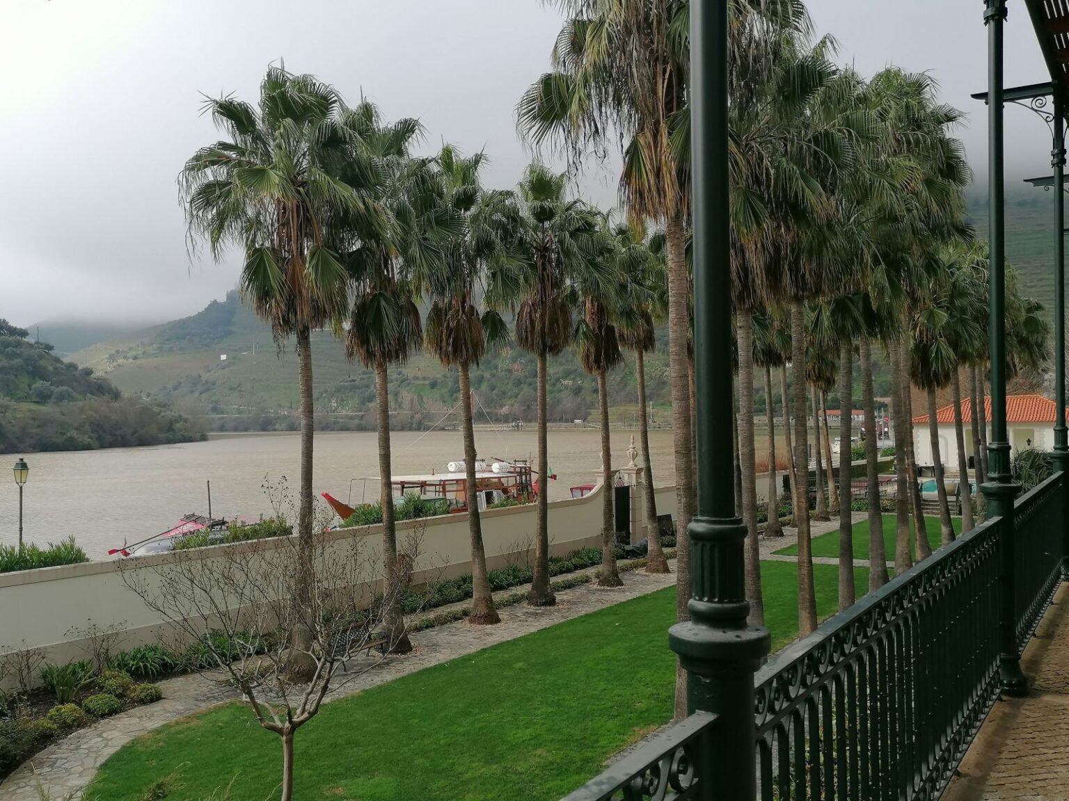 Ausblick-vom-Hotelgarten-aus