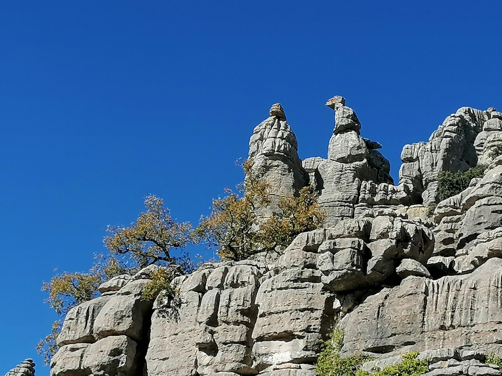 Bizarre-Felsformationen-El-Torcal Bizarre-Felsformationen-El-Torcal