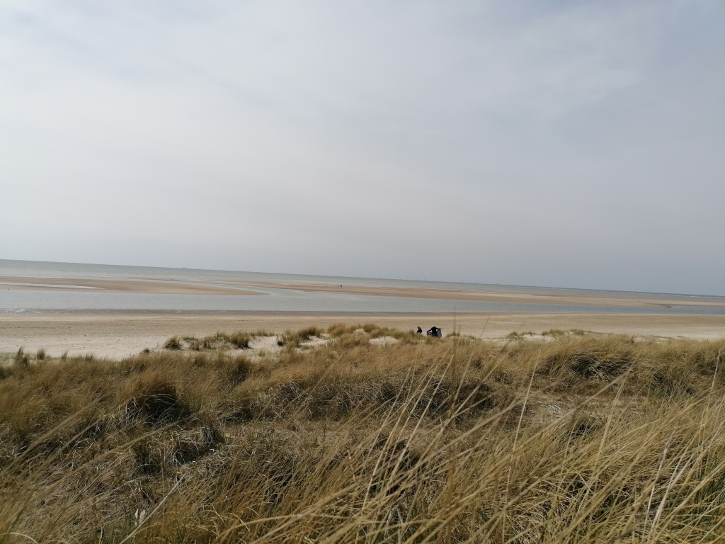 Blick-auf-die-Nordsee Blick-auf-die-Nordsee