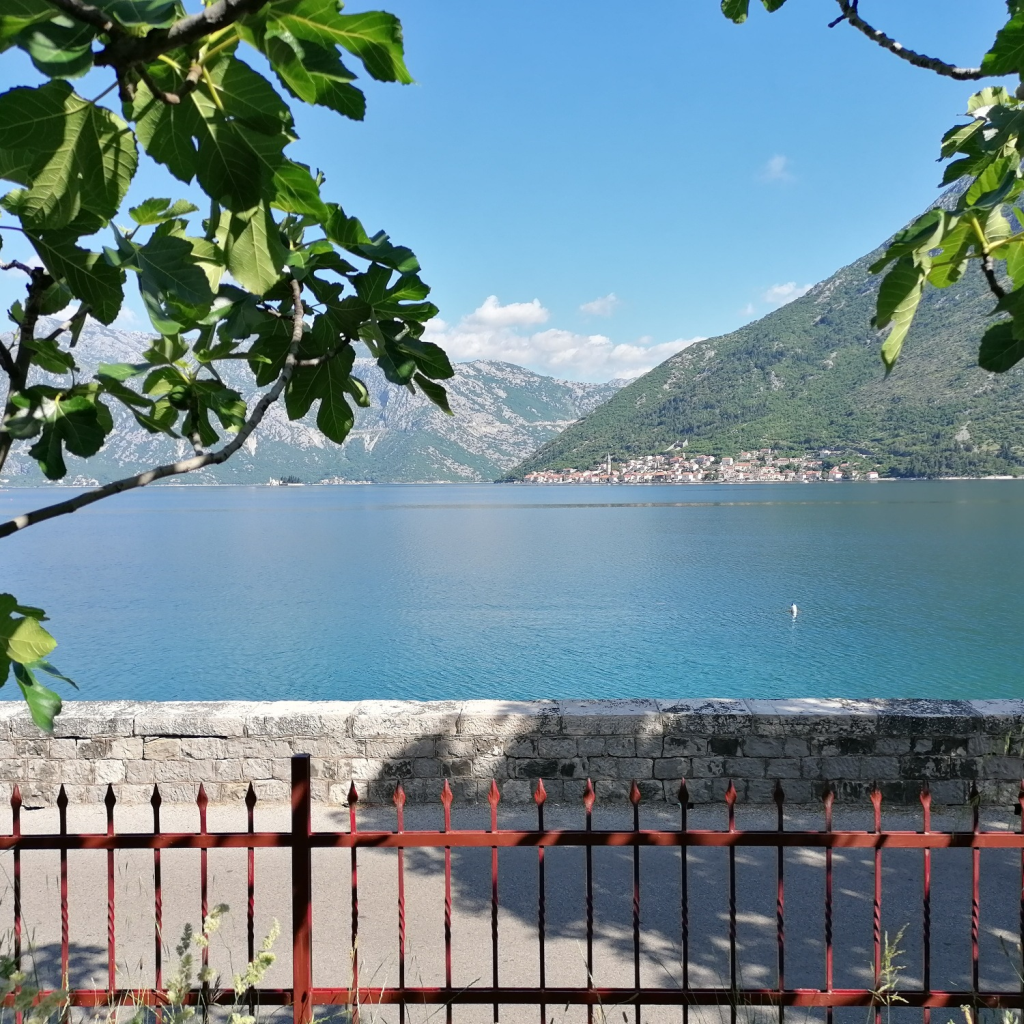 Blick-vom-Camp Blick-vom-Camp