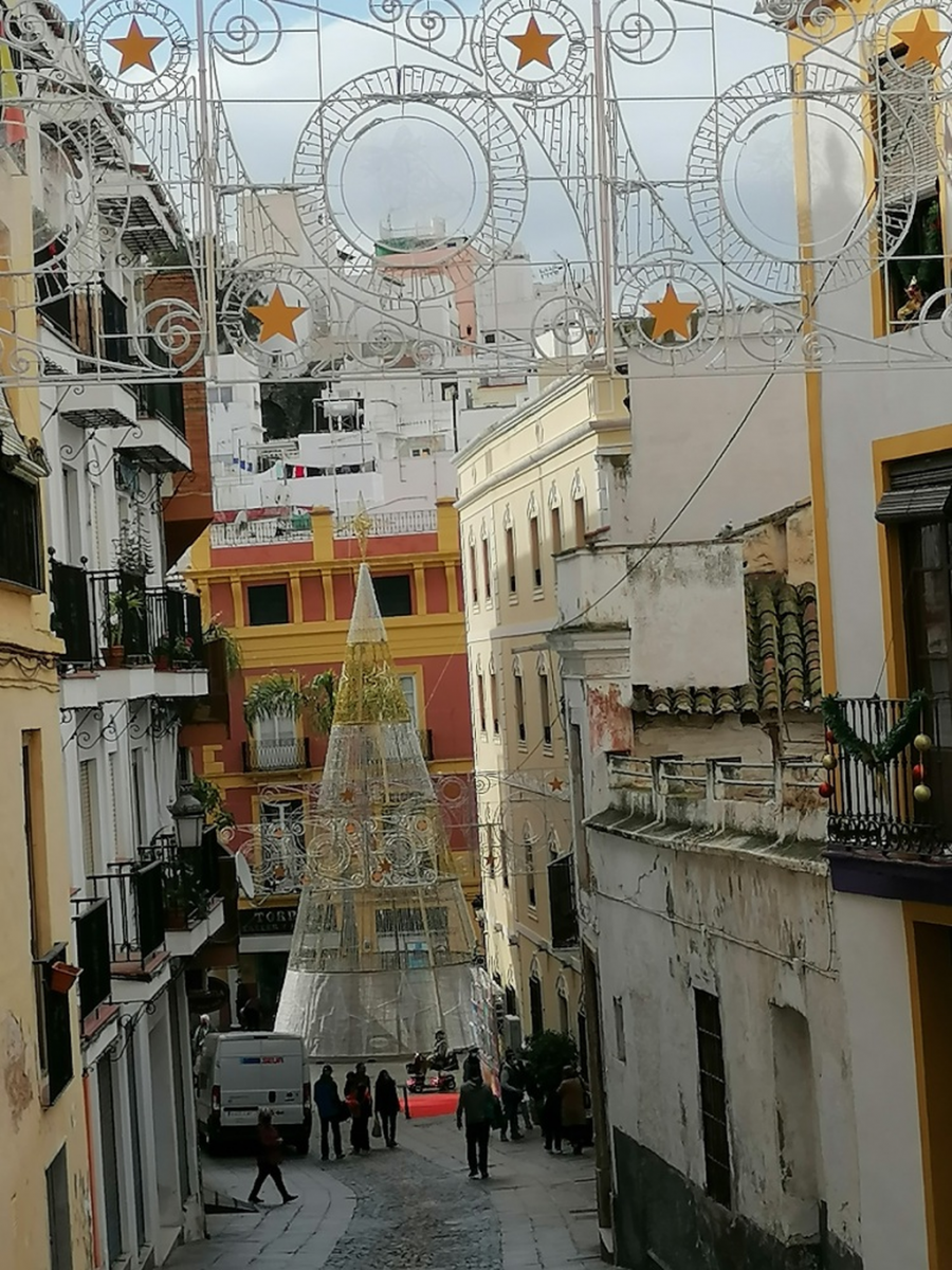 Bummel-durch-die-Altstadt Bummel-durch-die-Altstadt