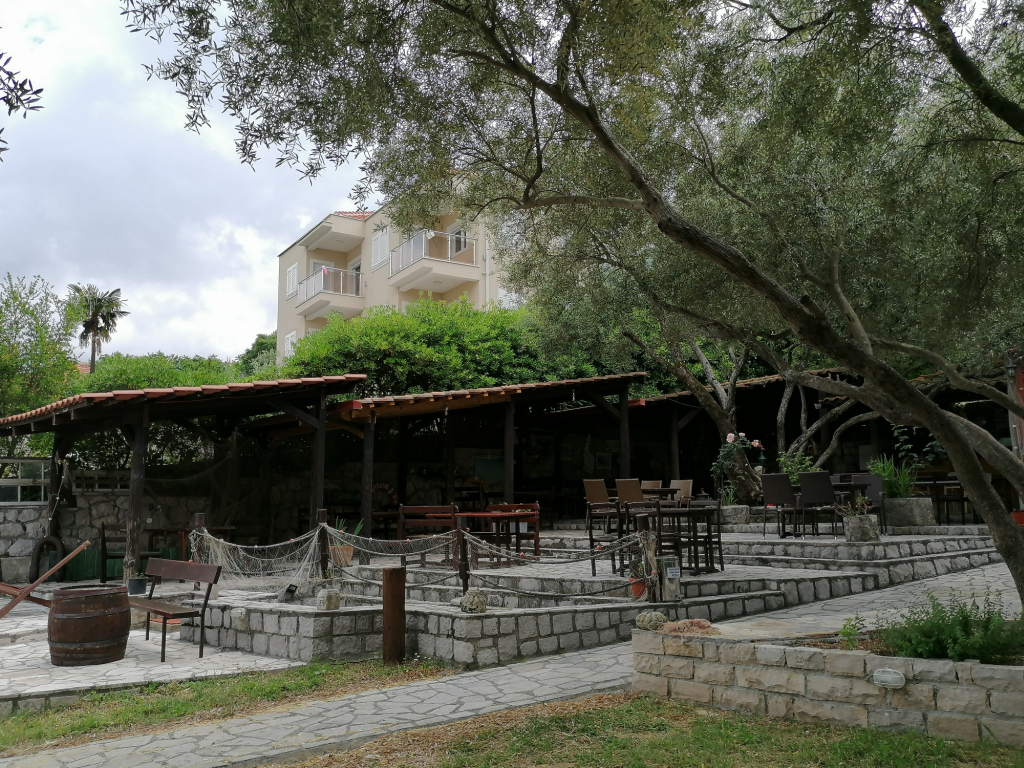 Camp-Mimoza Camp-Mimoza