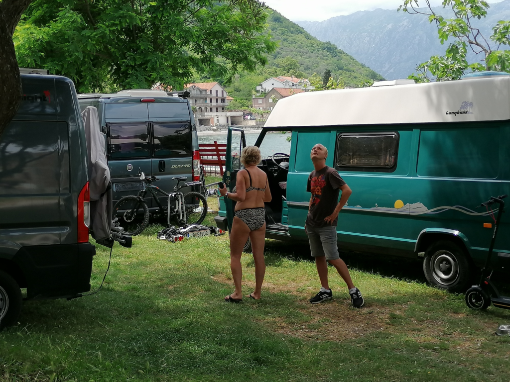 Camp-Mimoza Camp-Mimoza