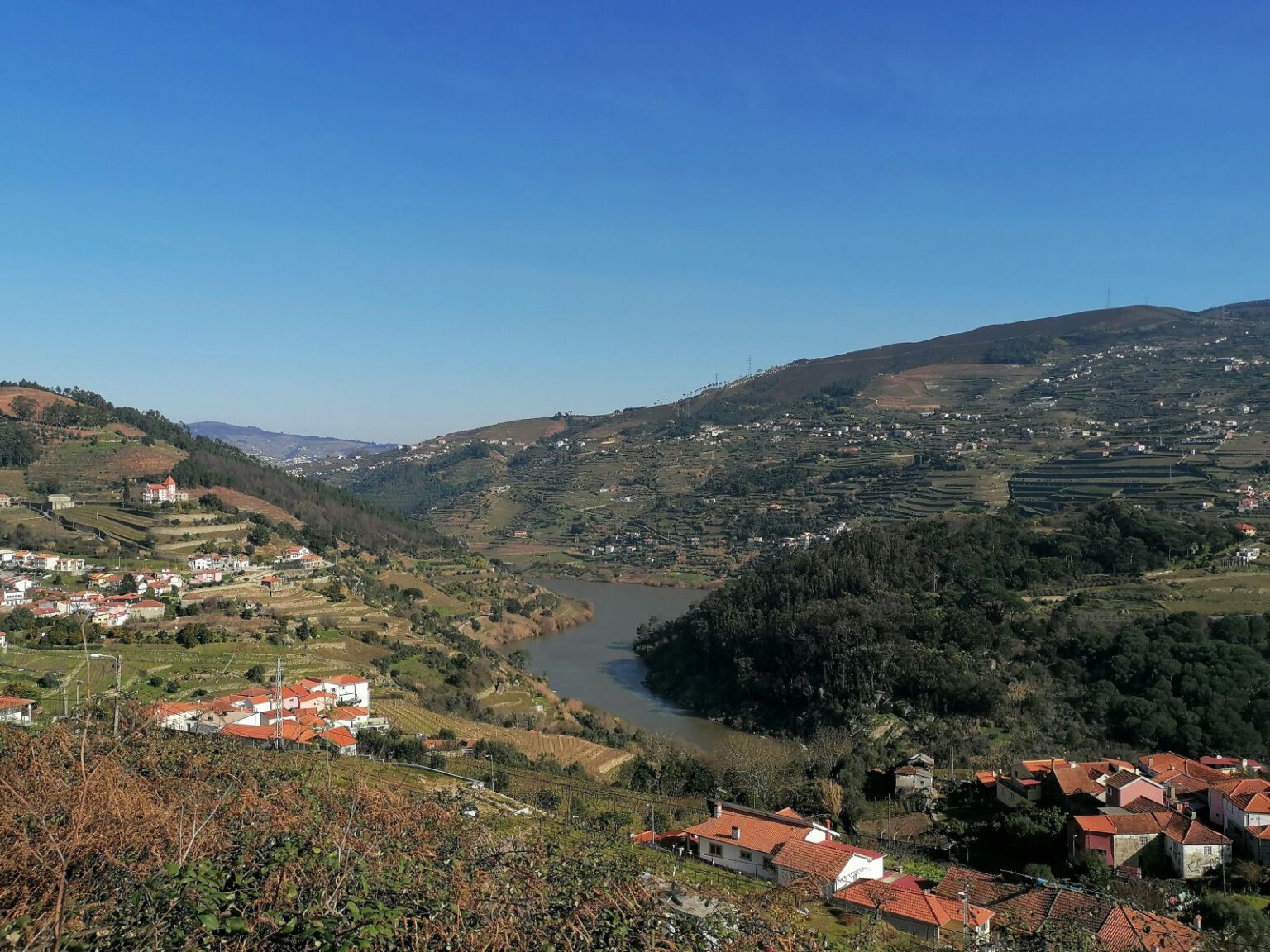 Der-Fluss-Duoro-schlaengelt-sich-durch-das-Tal