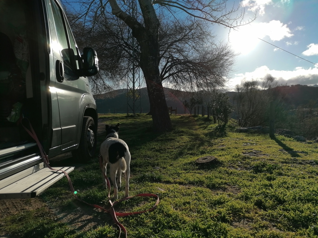 Der-Morgen-erwacht Der-Morgen-erwacht