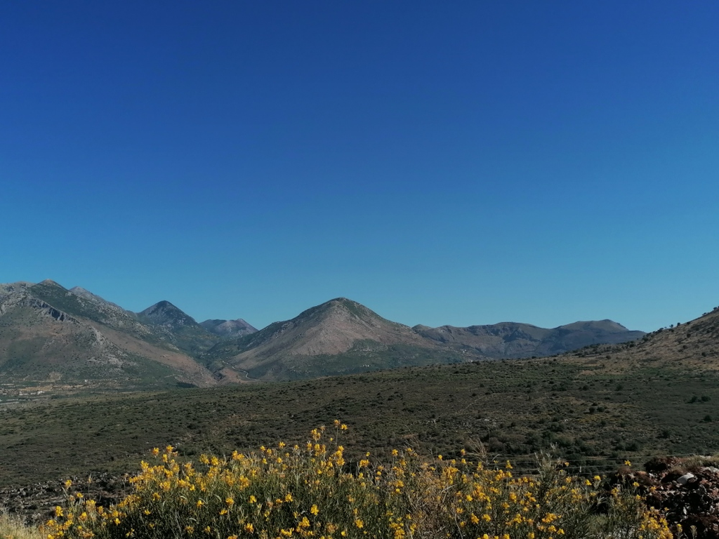 Die-wilde-Mani Die-wilde-Mani