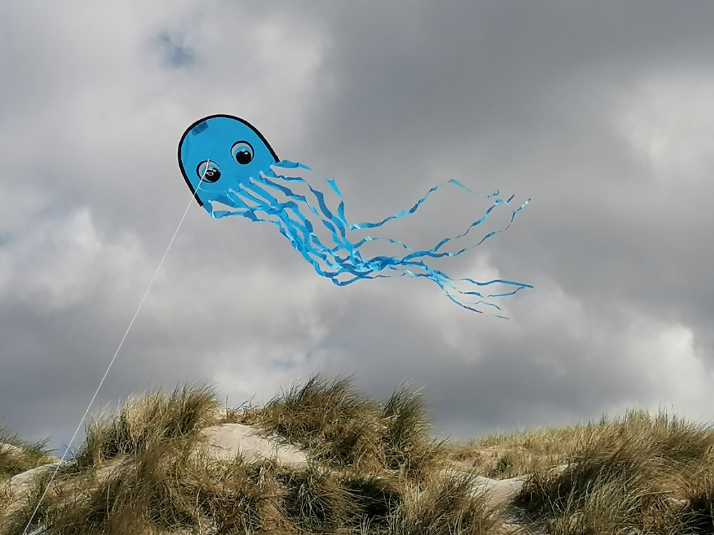 Drachen-am-Meer Drachen-am-Meer