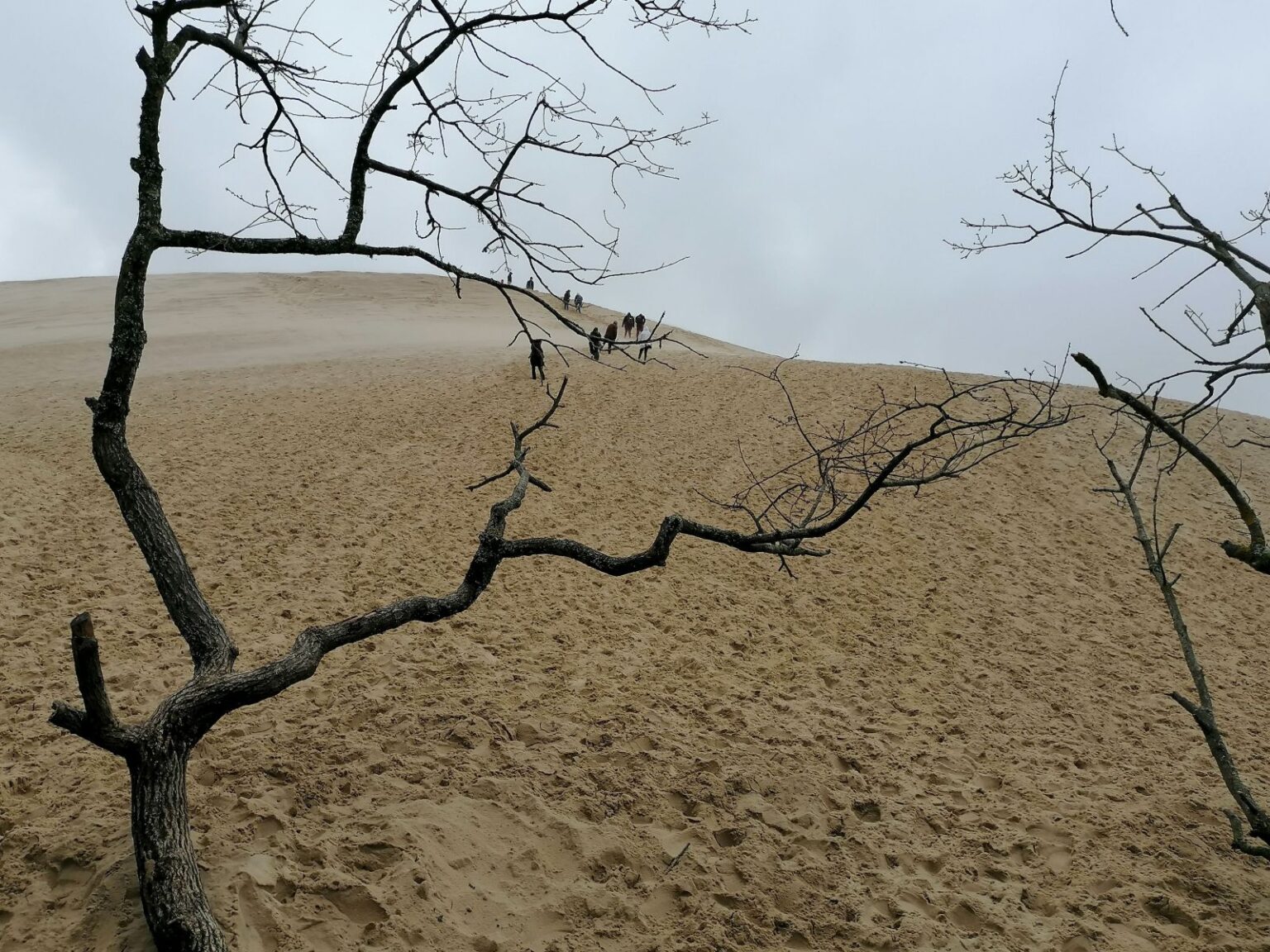 Dune-du-Pilat
