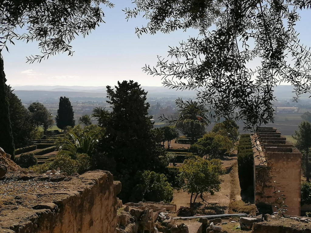 Ein-Ort-der-efaellt Ein-Ort-der-efaellt