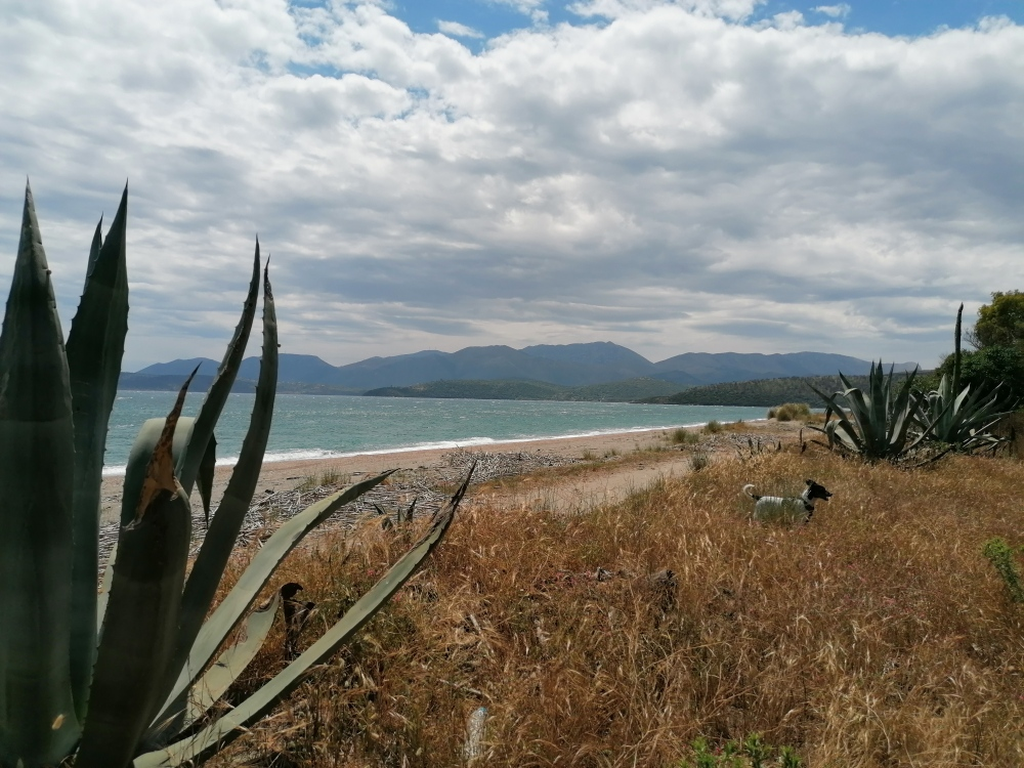 Ein-Tag-am-Meer Ein-Tag-am-Meer