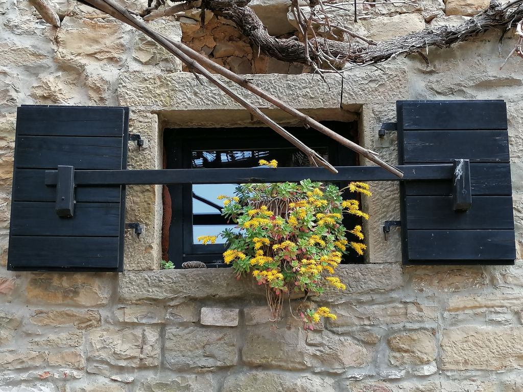 Fensterfreude Fensterfreude