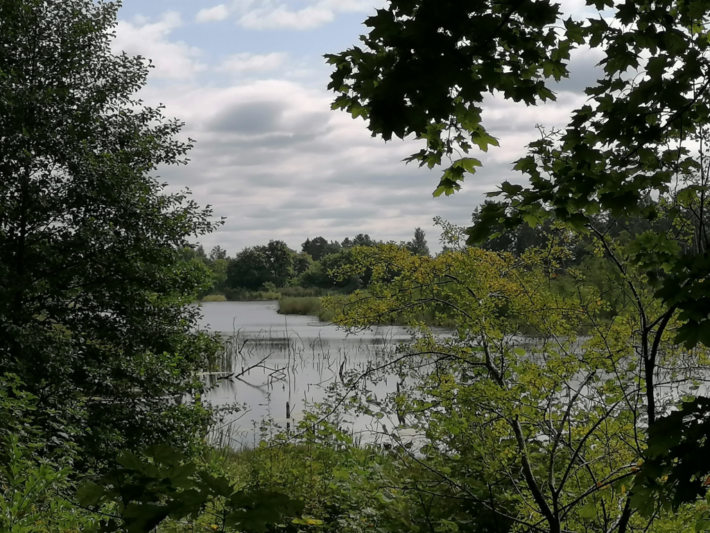 Feuchtgebiet Feuchtgebiet