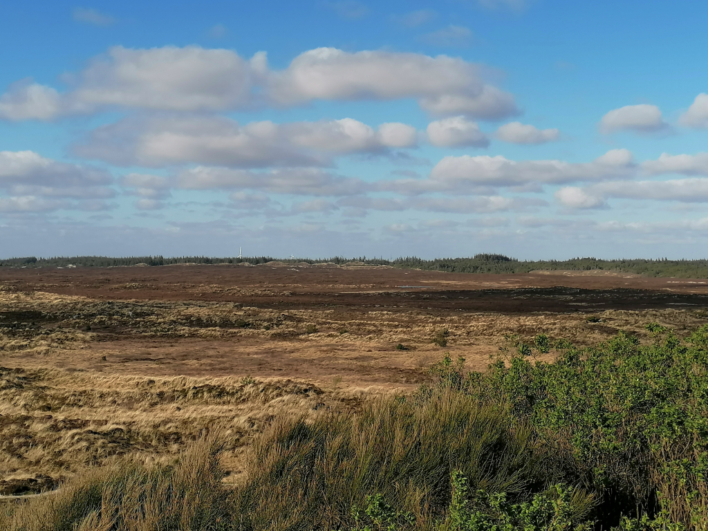 Heideduenen Heideduenen