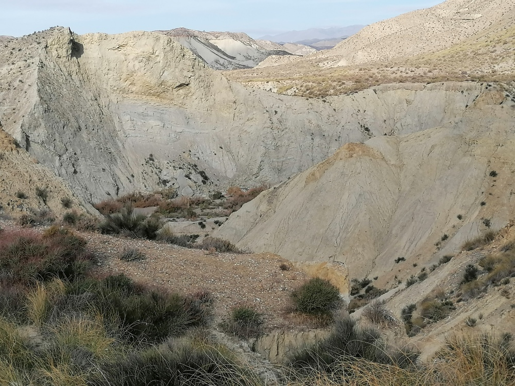 Hinter-jeder-Kurve-ein-neuer-Horizont Hinter-jeder-Kurve-ein-neuer-Horizont