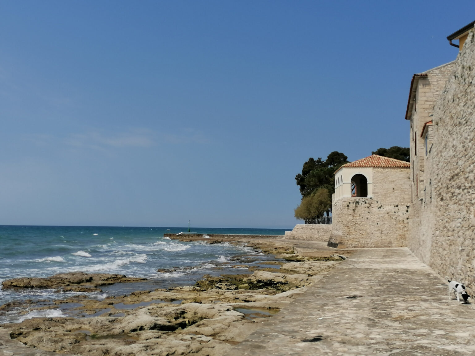 IMG_20210421_121027_resized_20210423_102520671 IMG_20210421_121027_resized_20210423_102520671