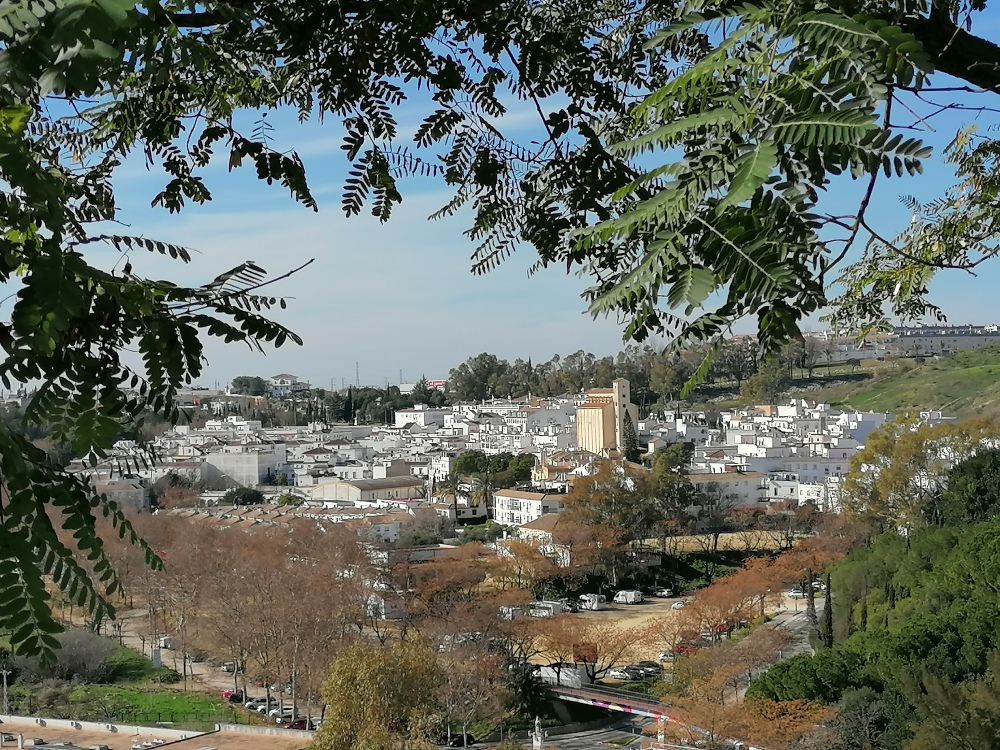 IMG_20220111_133155_resized_20220226_085359773 IMG_20220111_133155_resized_20220226_085359773