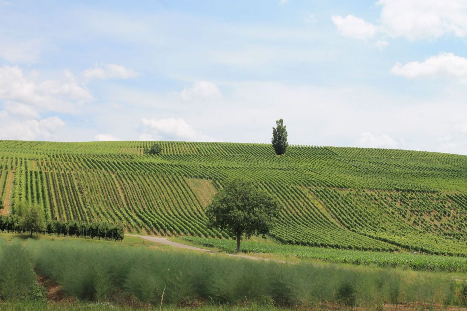 Hügellandschaft Hügellandschaft