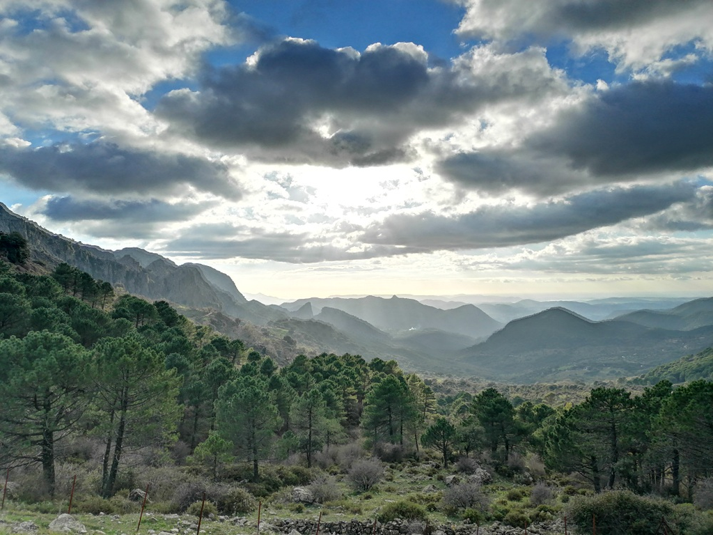 Im-Gebirge-auf-der-Route-nach-Grazalema Im-Gebirge-auf-der-Route-nach-Grazalema